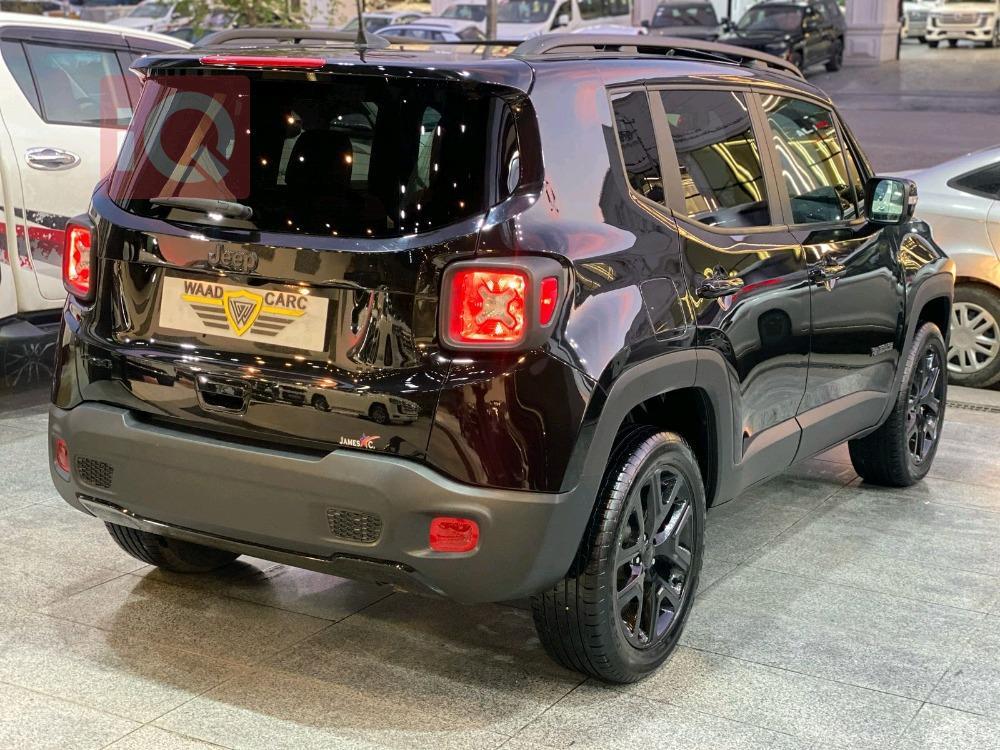 جيب رينيجيد